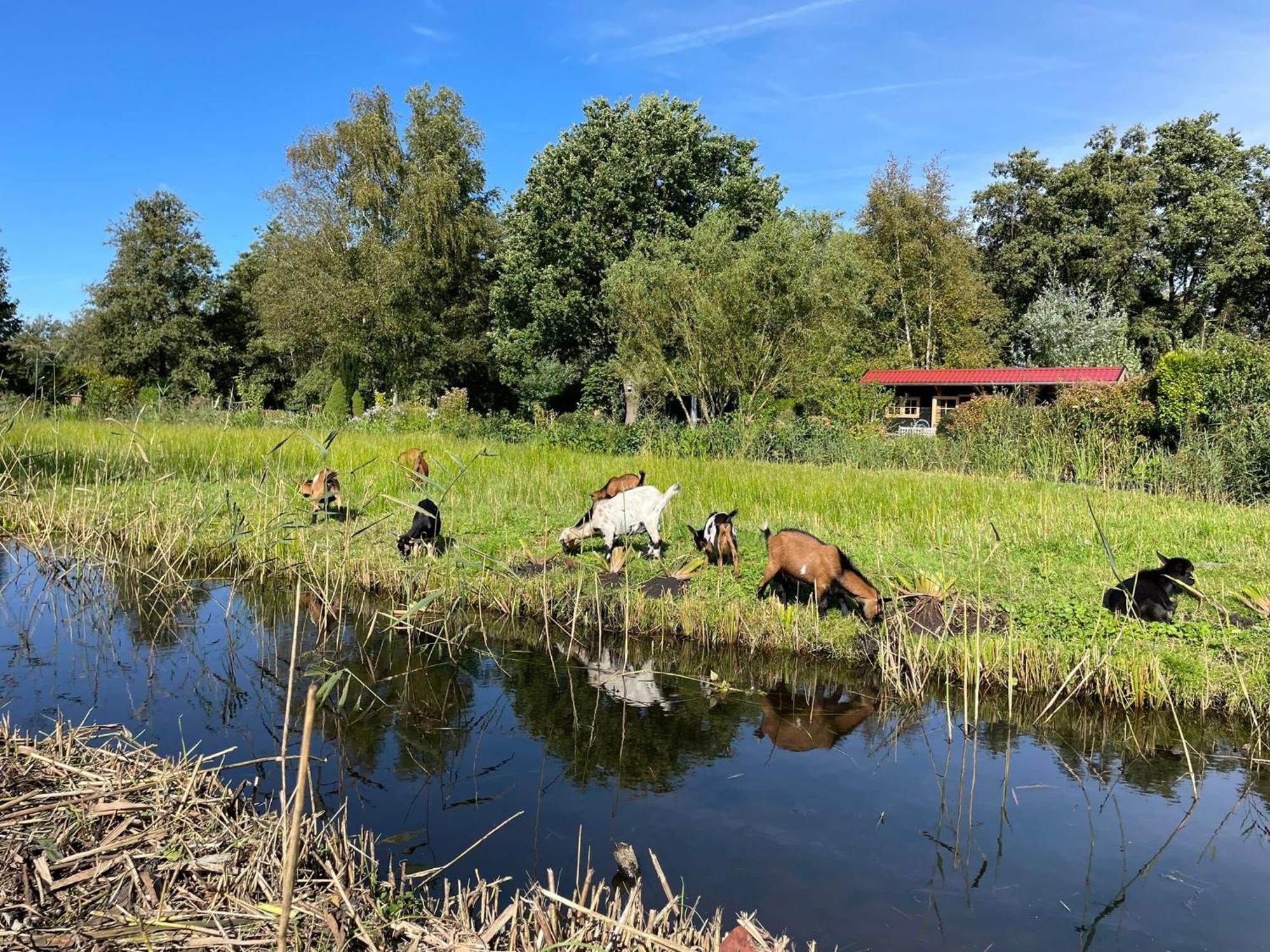 Huisje Op De Dijk Kortenhoef Экстерьер фото